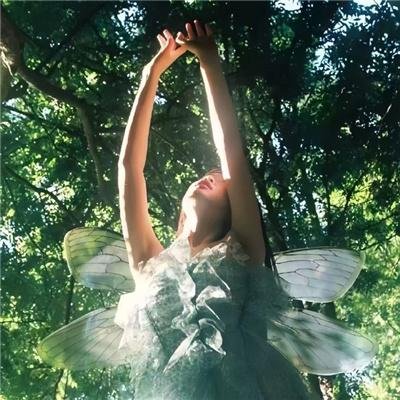 傲骨贤妻第六季